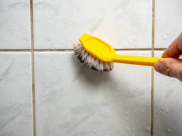 Best Bathroom Mold Remediation in New Lisbon, WI