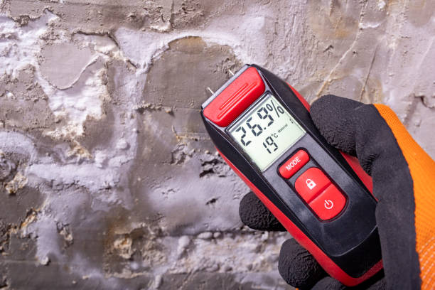 Best Insurance-Related Mold Remediation in New Lisbon, WI
